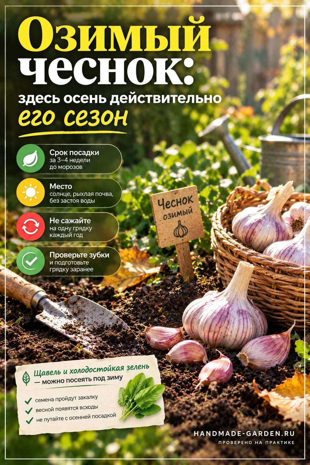 Озимый чеснок: здесь осень действительно его сезон