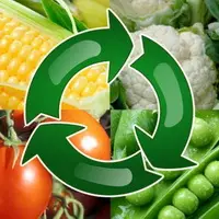 Севооборот овощных культур