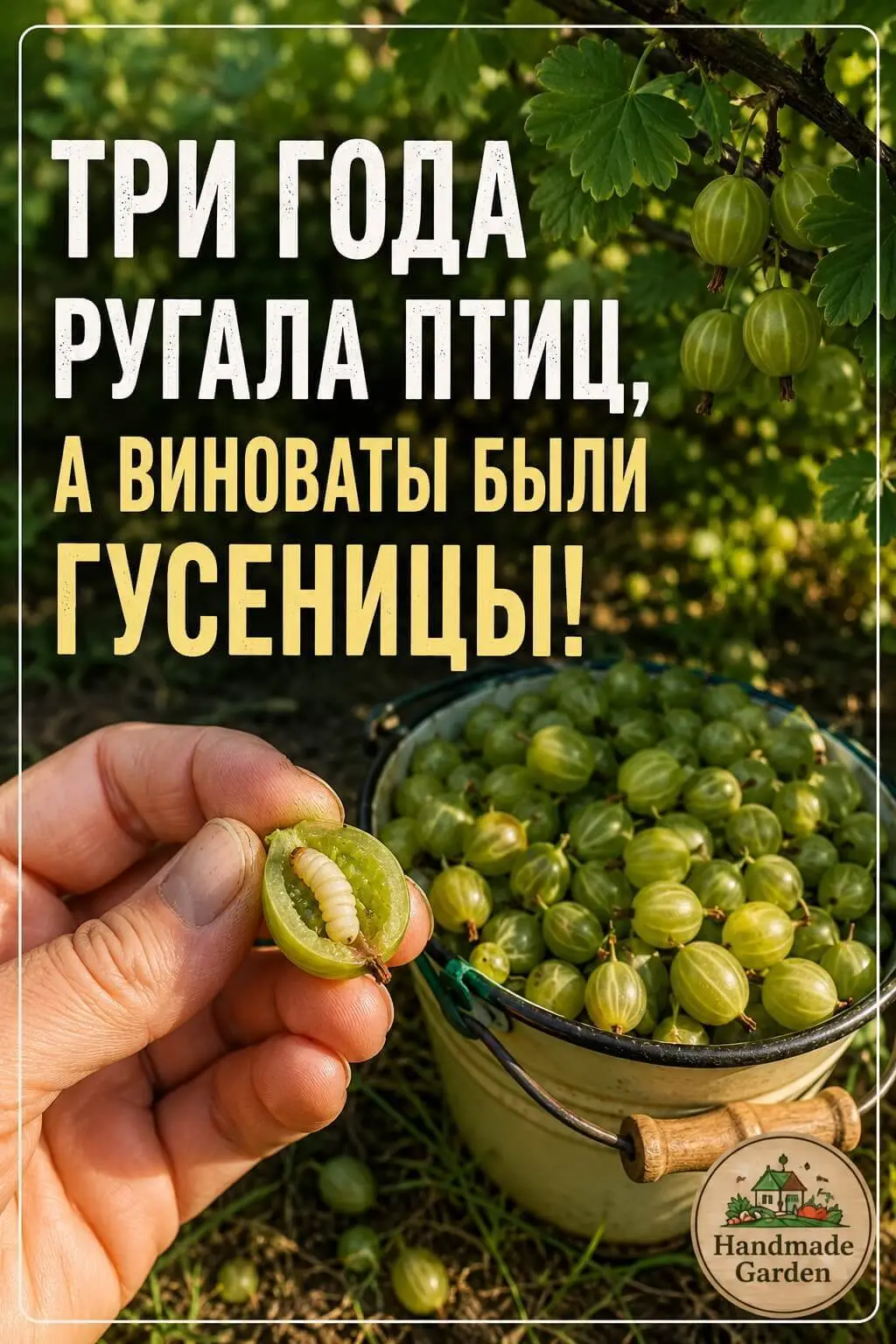 Птицы - наши союзники