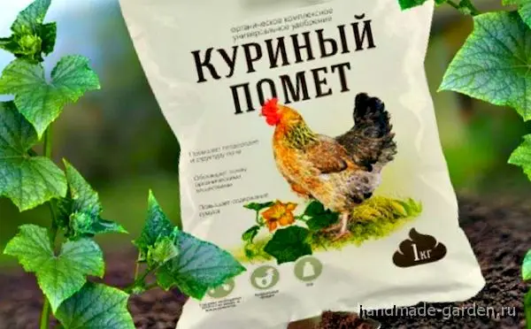 Подкормка огурцов народными средствами Подкормка огурцов народными средствами