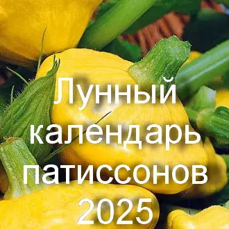 Лунный календарь патиссонов 2025