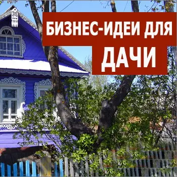 как организовать свой бизнес на даче