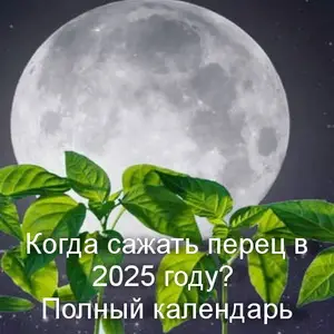 Лунный календарь огородника 2025: когда сажать перец?