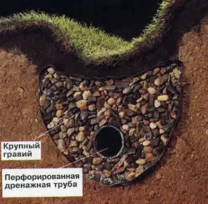 Что такое французский дренаж?