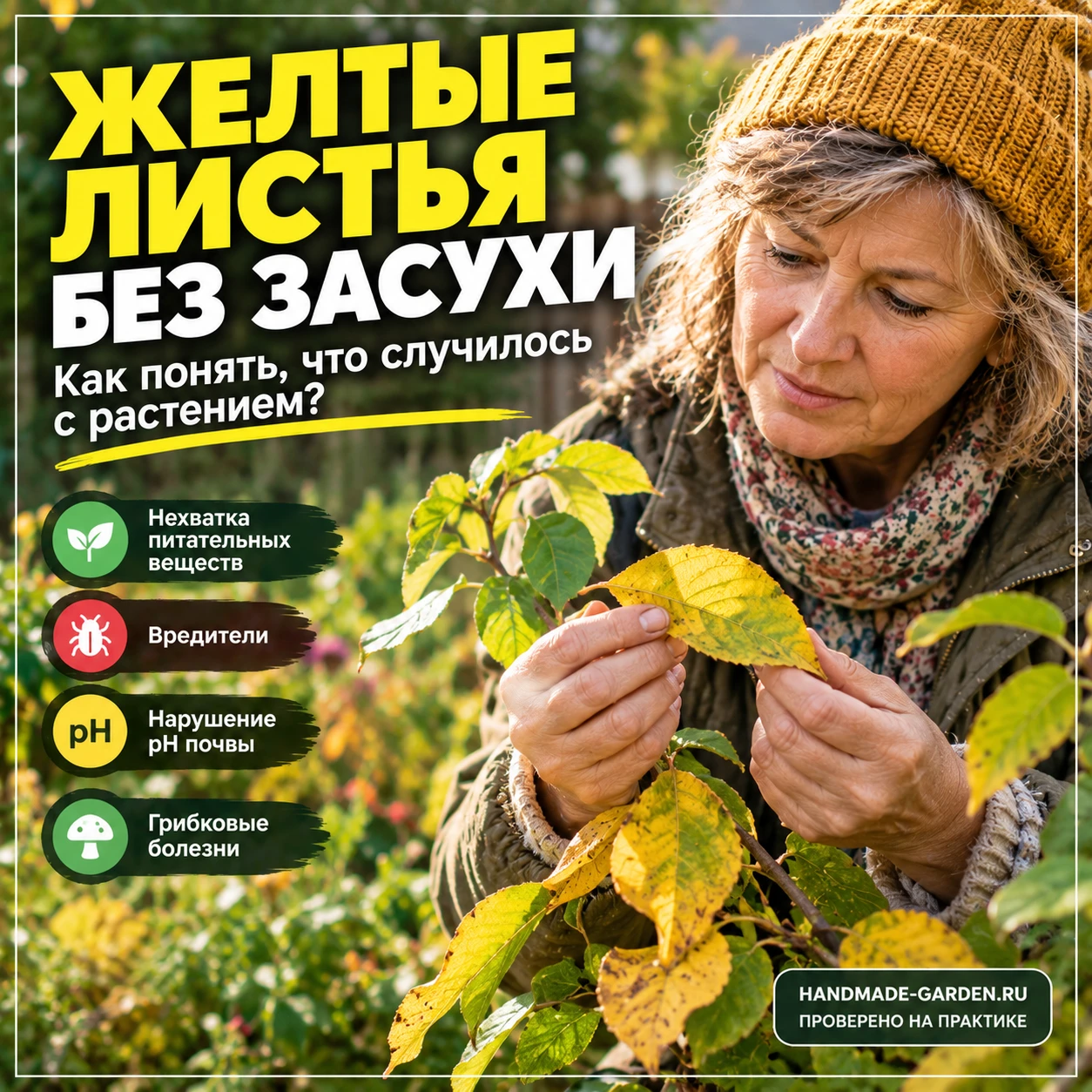 Желтые листья без засухи: как понять, что случилось с растением