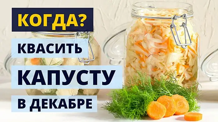 Лучшие дни для квашения капусты в декабре 2024 года Лучшие дни для квашения капусты в декабре 2024 года