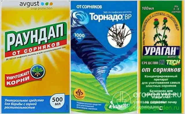 От березки лучше гербициды глифосатные От березки лучше гербициды глифосатные