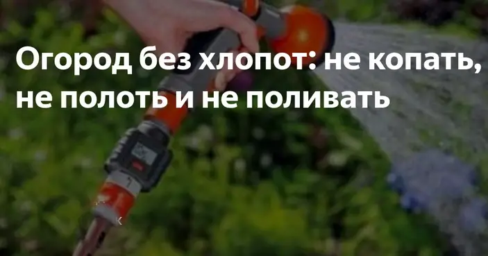 Можно ли вырастить огород без поливов