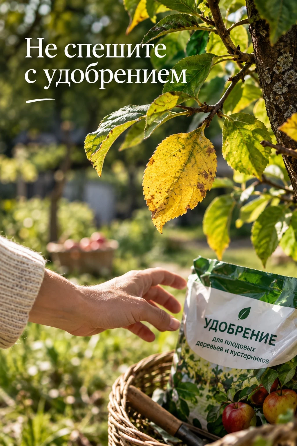 Не спешите с удобрением