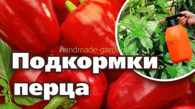 Уход за перцами в июле