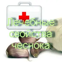 Лечебные свойства чеснока