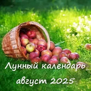 Лунный календарь дачника на август 2025