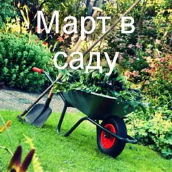Какие же основные работы в марте на даче?