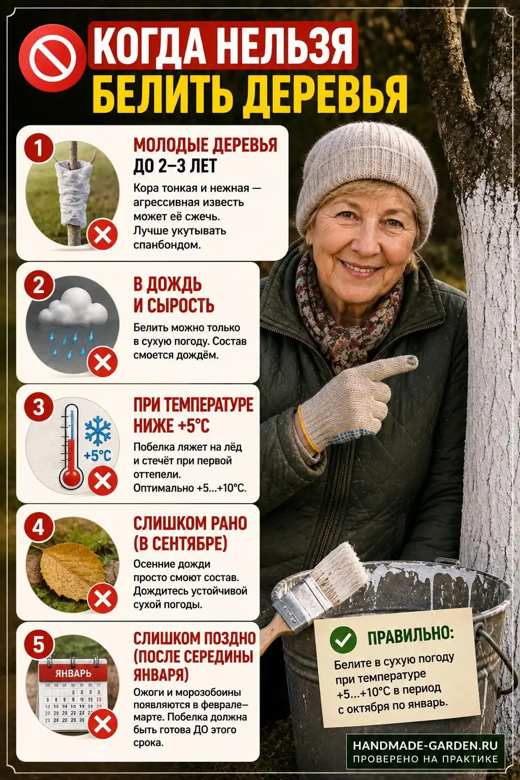 Когда НЕЛЬЗЯ белить деревья