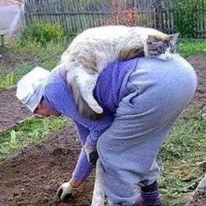 Причины, по которым дача не нужна