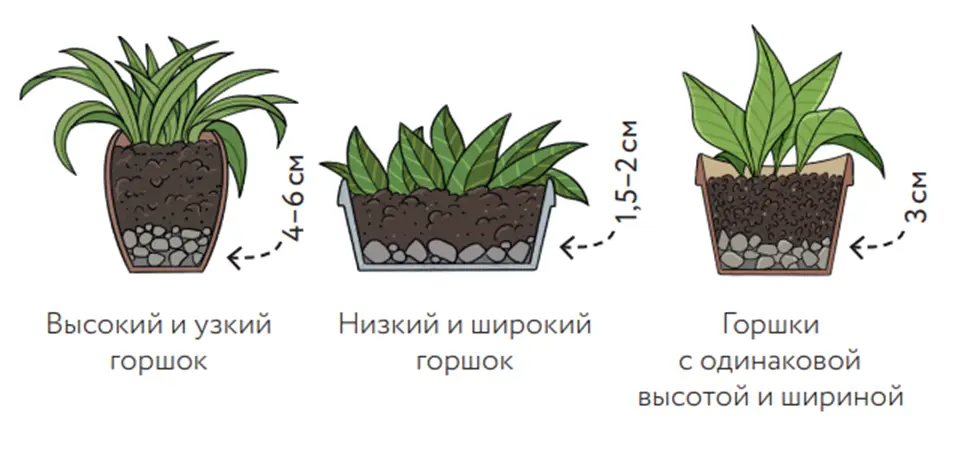 Как выбрать грунт и дренаж для домашнего растения? Как выбрать грунт и дренаж для домашнего растения?