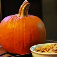 Как и где лучше сажать тыкву