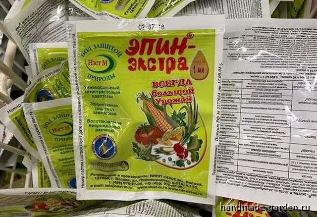 Посев и выращивание томатов