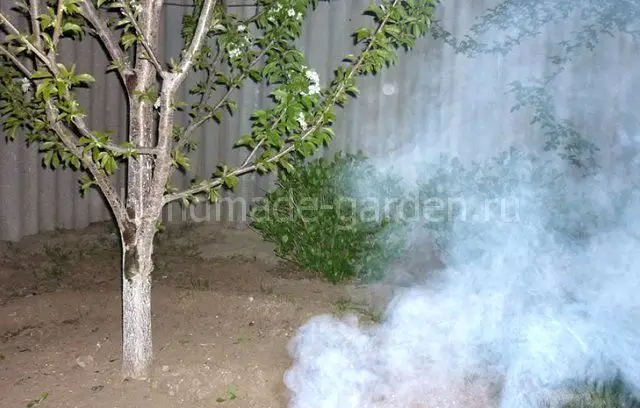 Задымление