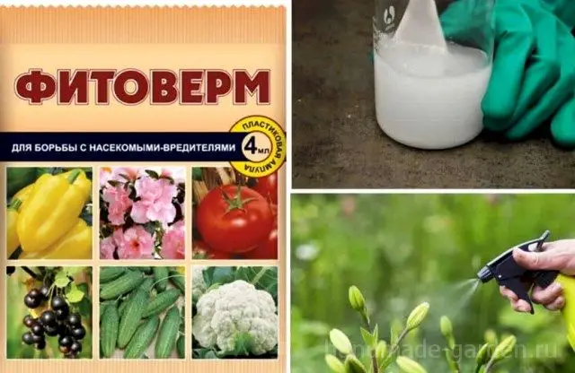 Фитоверм Фитоверм