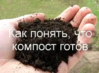 Как понять, что компост готов