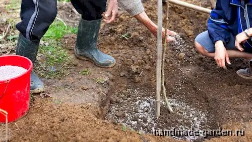 Надо ли использовать удобрения Надо ли использовать удобрения