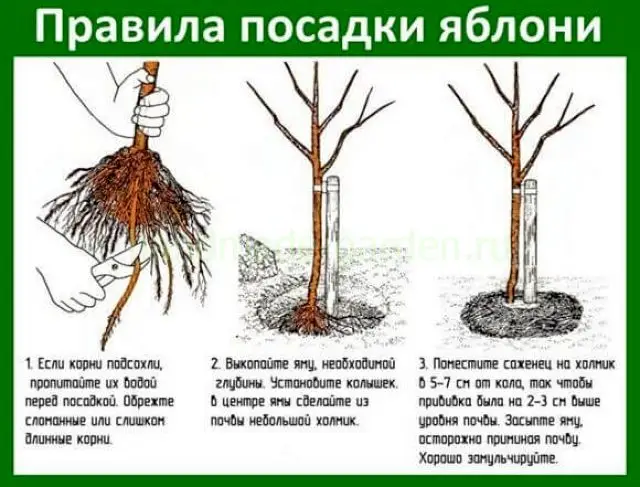 Выбор и подготовка места для посадки