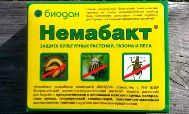 Немабакт Немабакт
