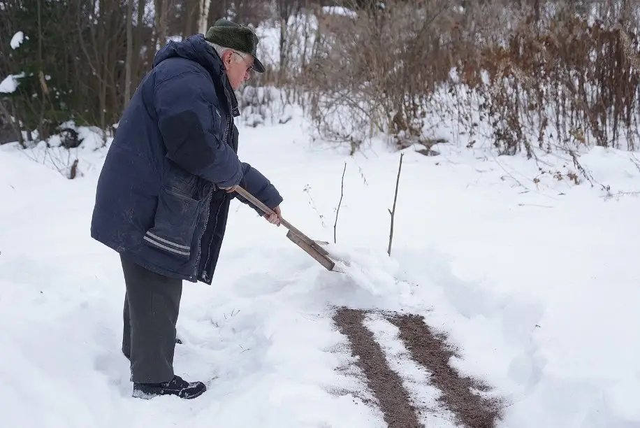 Зимние удобрения: как повысить плодородие земли под снегом