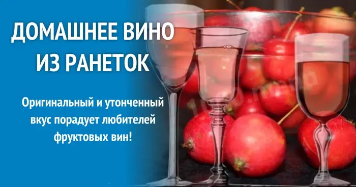 Как сделать вино из ранеток