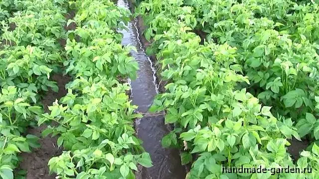 Уход за грядками Уход за грядками