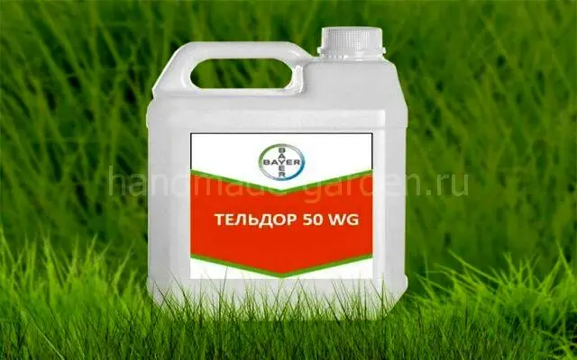Тельдор