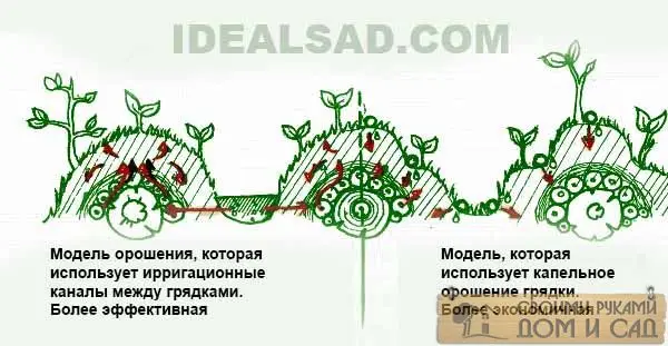 схема полива для высоких грядок без ограждений