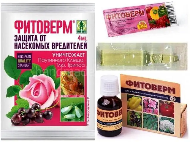 Для обработки смородинных кустов рекомендуется применять: Для обработки смородинных кустов рекомендуется применять: