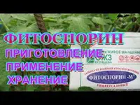 Распространенные ошибки при применении Фитоспорина