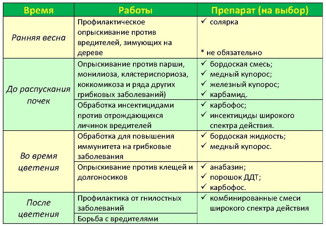 Чем опрыскать яблоню весной от вредителей и болезней Чем опрыскать яблоню весной от вредителей и болезней