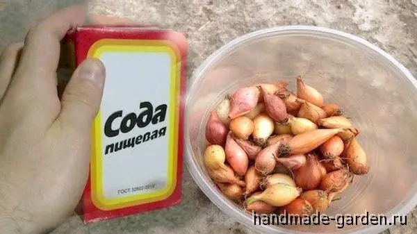 Очистка лука от бактерий с помощью соды