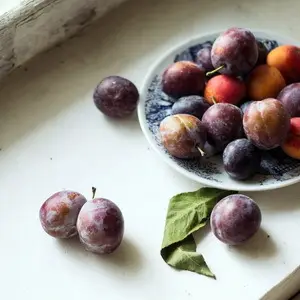 Как спасти сливу от плодожорки
