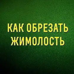 Как правильно обрезать кусты жимолости осенью
