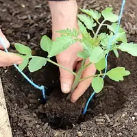9 компонентов, которые ни в коем случае нельзя добавлять в грунт для рассады