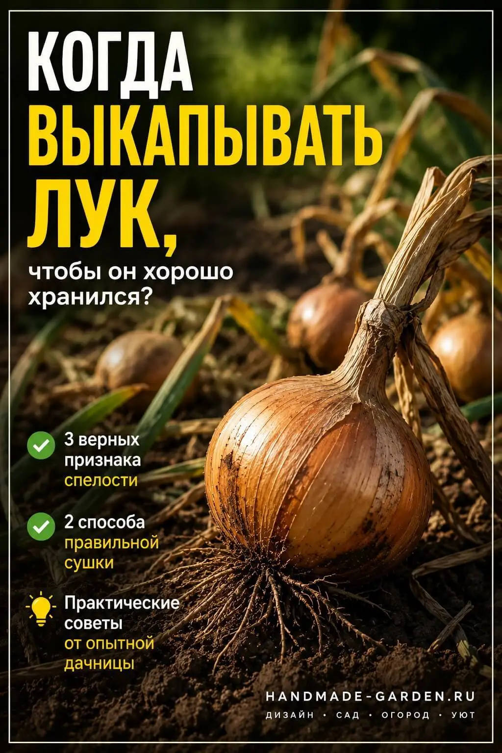Когда выкапывать лук: 3 признака спелости