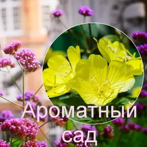 Почему стоит создать ароматный сад?