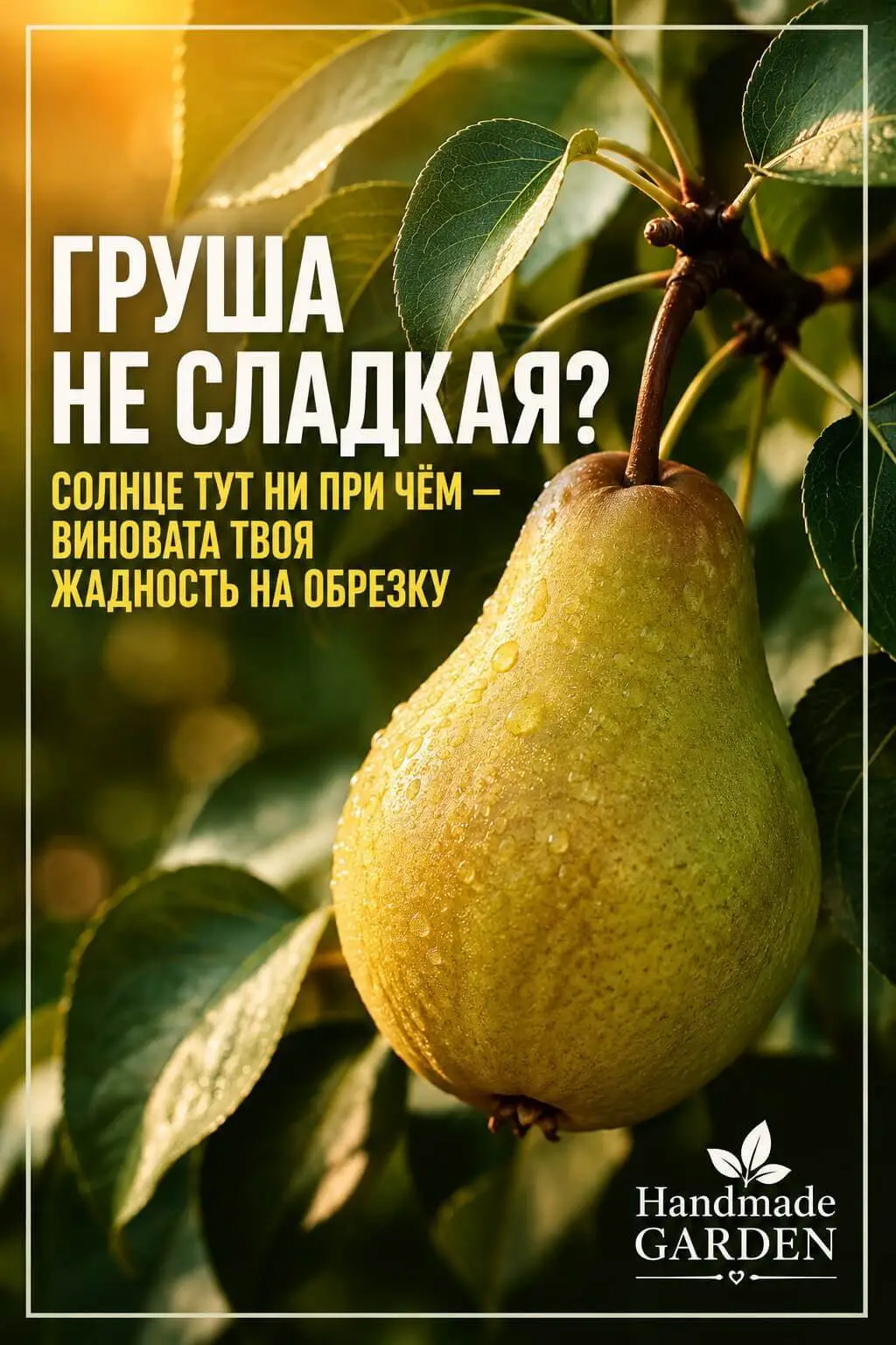 Грушу нужно обязательно обрезать