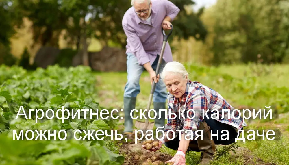 Агрофитнес: сколько калорий можно сжечь, работая на даче