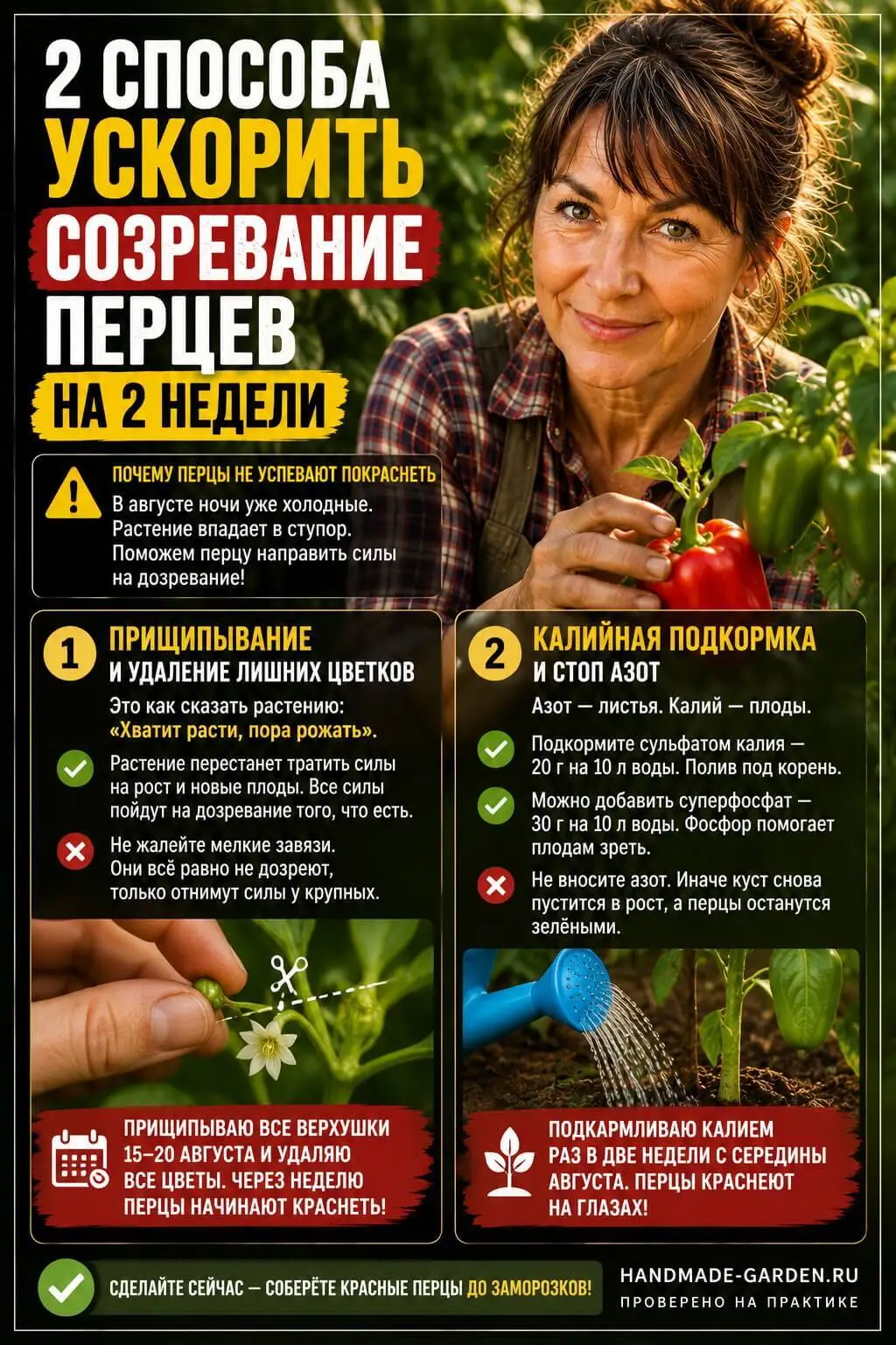 Шпаргалка: как ускорить созревание перцев