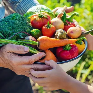 Старинные сорта овощей: тренд в sustainable living 