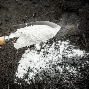 Что такое известкование газона и для чего проводится эта процедура?