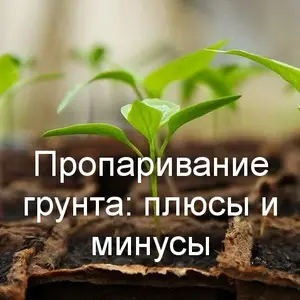 Пропаривание грунта: плюсы и минусы