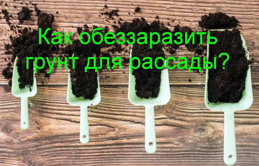 Мифы и реальность: зачем вообще пропаривают грунт?