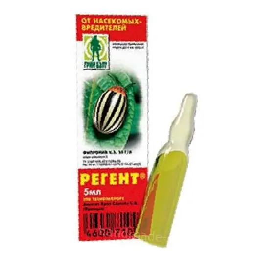 Регент Регент